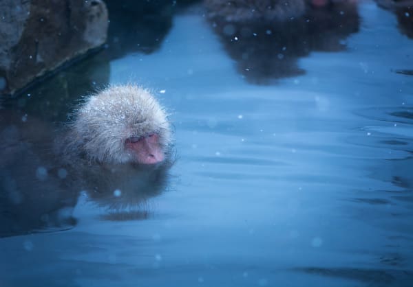 Ramon Evangelista, Solitude, 2023