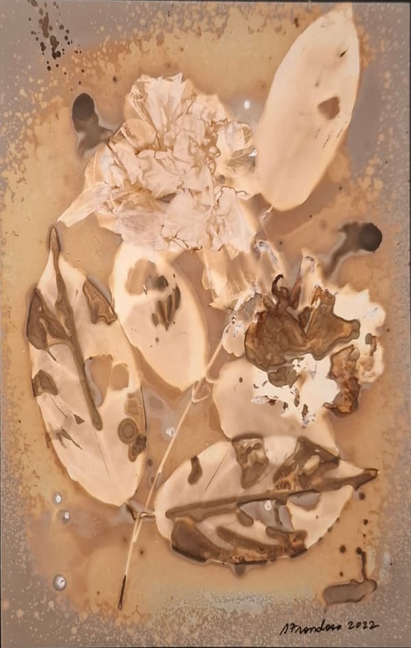 Stephanie Frondoso, Fever 2, 2024