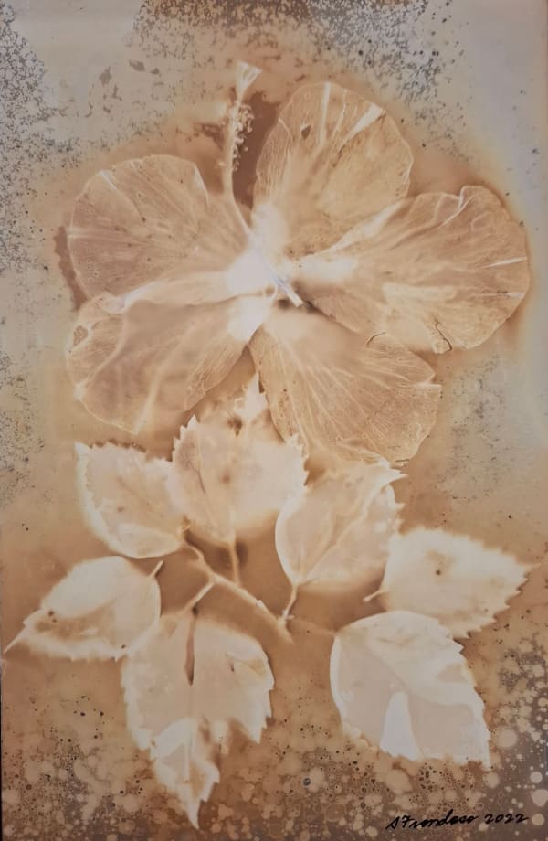 Stephanie Frondoso, Fever 10, 2024