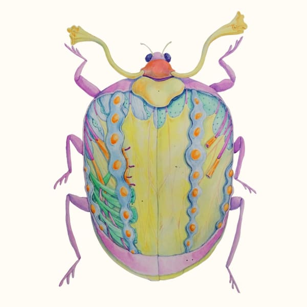 Linya Fernandez, Floroptera Lucens, 2022