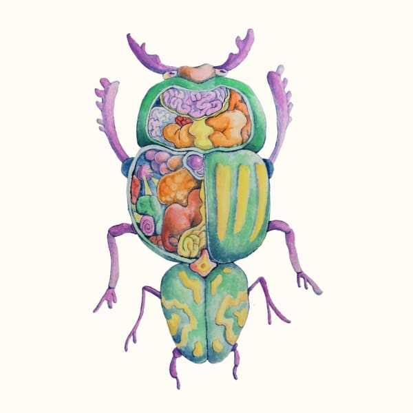 Linya Fernandez, Unicorpus Dimorphus, 2022