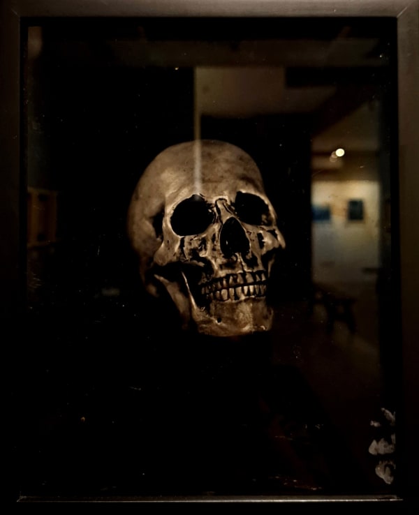 Raena Abella, Untitled, 2024