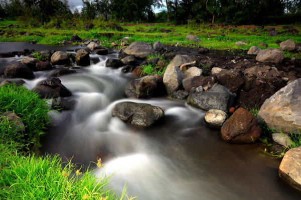 Batch Hernandez, Water is Life, 2023