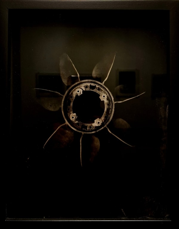 Raena Abella, Untitled, 2024