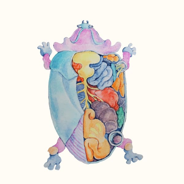 Linya Fernandez, Floricaput Pentapetalus (Female), 2022