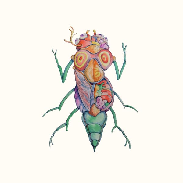 Linya Fernandez, Pompilus Cervicornis, 2022