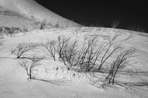 Dwight Lu, Winter Wonderland, 2023