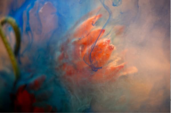 Pia Mercado, Impetus I, 2024