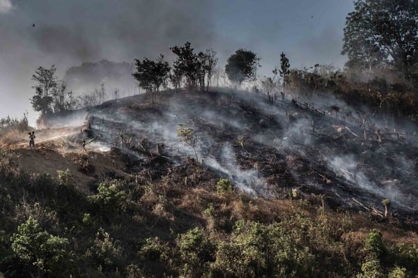 Katherine Jack, Palawan Seas 48, 2022