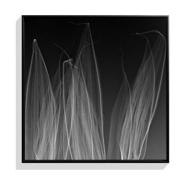 Jason Quibilan, Cut Glass No. 1 (Triptych), 2021