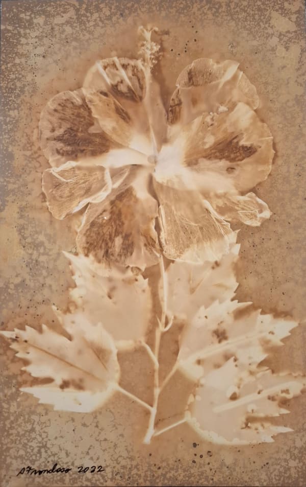 Stephanie Frondoso, Fever 11, 2024