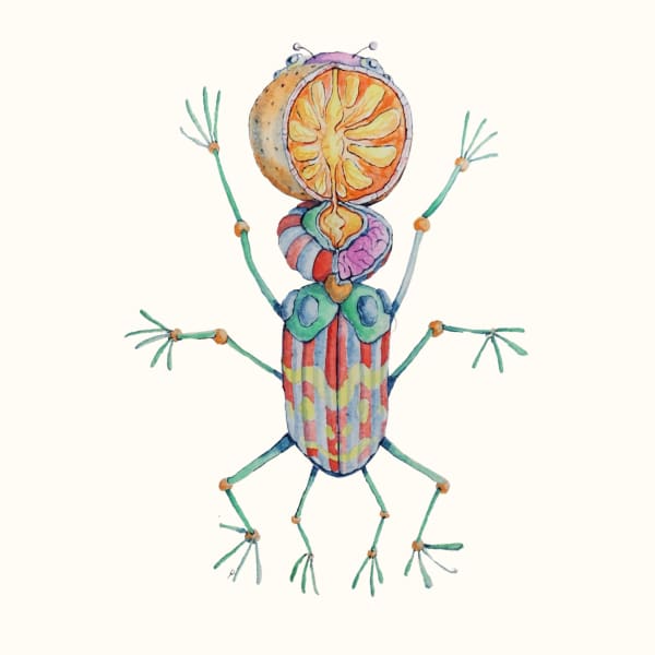 Linya Fernandez, Citriphthirus Aurantium, 2022