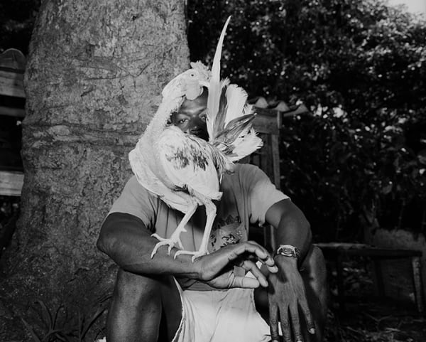 Tony Chirinos, No te Engañes, 2005