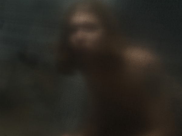 Andrew Boynton, In Shining Armor, 2025