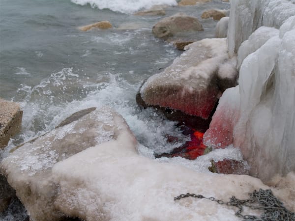 Andrew Boynton, Judecca, 2025