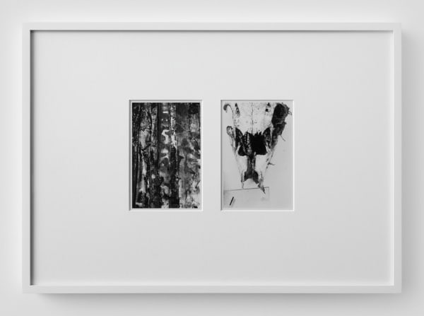 Josh Brand, Skull and Drawing, 2014