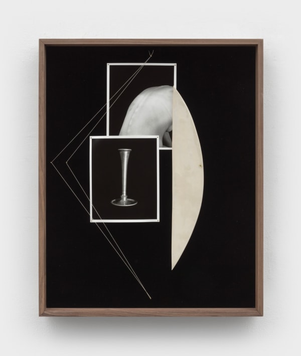 Sheree Hovsepian, Cadence, 2022
