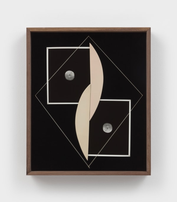 Sheree Hovsepian, Cell, 2022