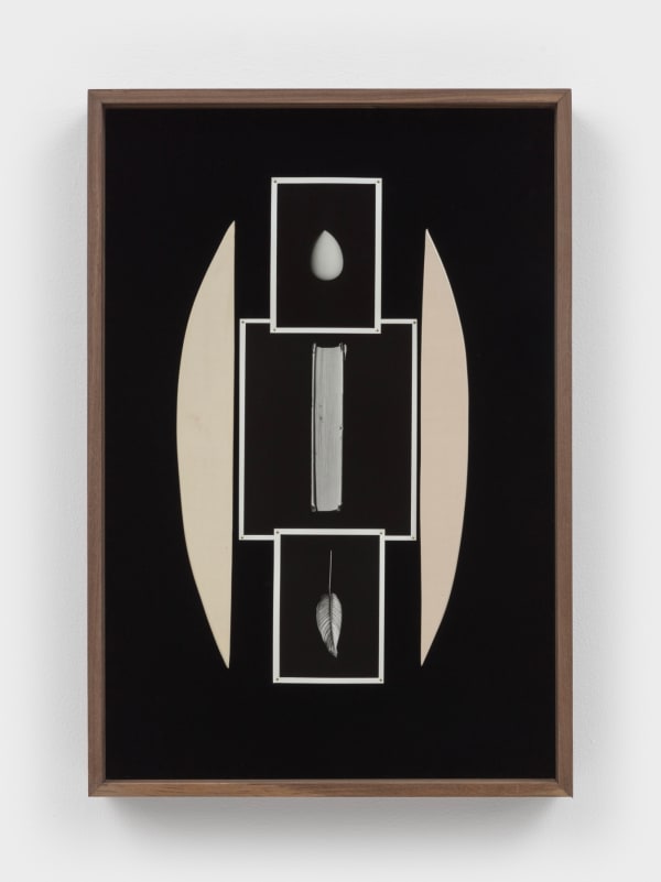 Sheree Hovsepian, Text, 2022