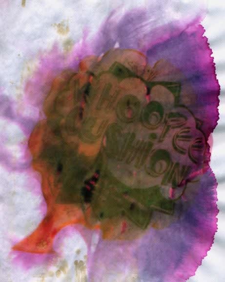 Sara Greenberger Rafferty, Cushion, 2009