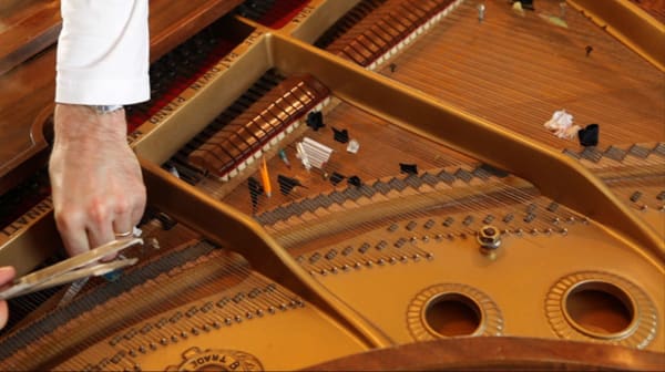 Mary Simpson, 10,000 Things, 2015