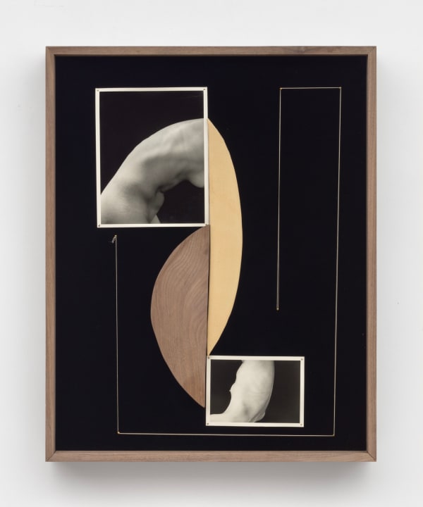 Sheree Hovsepian, Inward Dive, 2021