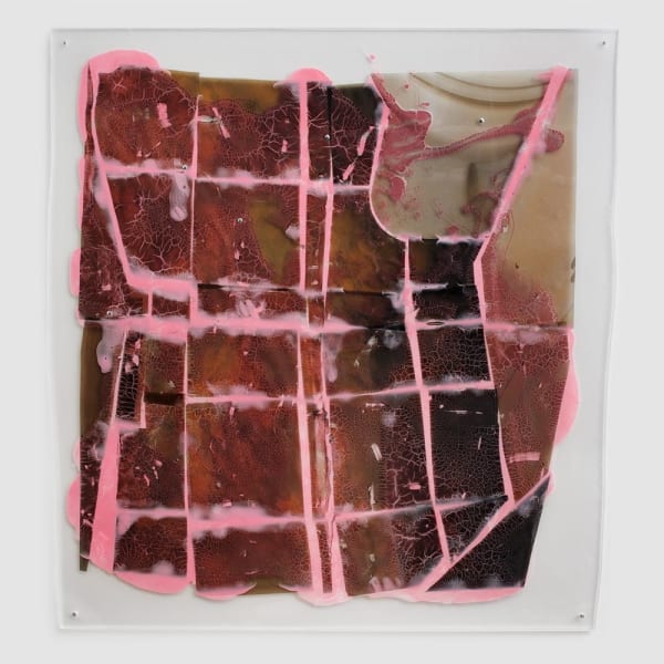 Sara Greenberger Rafferty, Untitled, 2014
