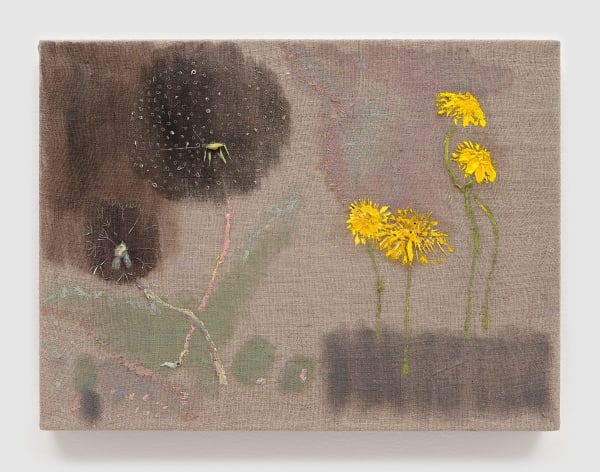 Bethann Parker, Wish, 2025