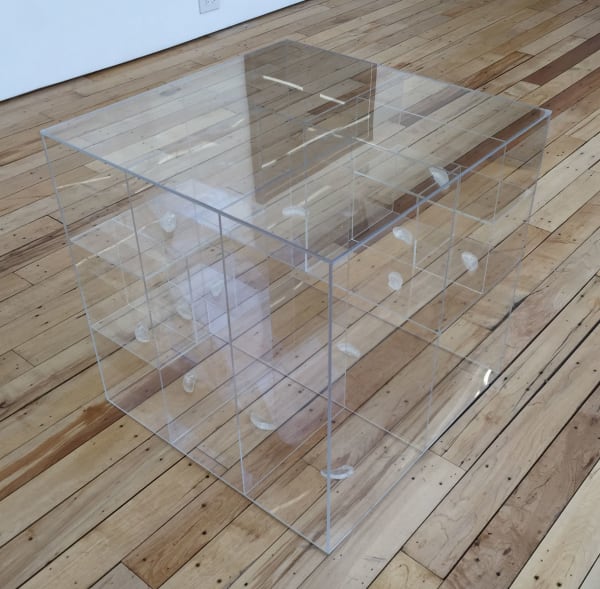 Dmitri Hertz, Segments Part at O, 2015