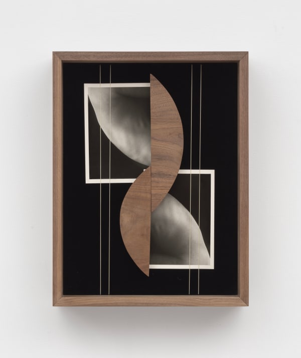 Sheree Hovsepian, Simulcrum, 2021