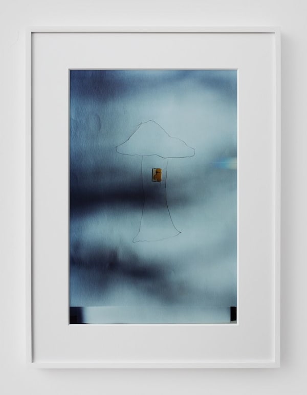 Josh Brand, Mushroom Curtain Vision Figure (Dog Paw Cover Draw), 2015