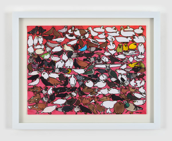 Allen Yu, Birds from Around the World, 2025