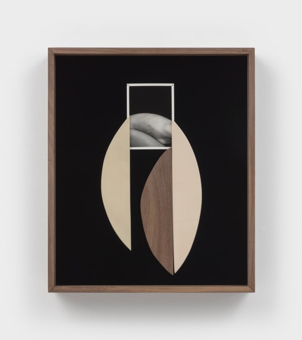 Sheree Hovsepian, Eye, 2022