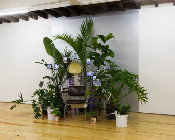 Las Nietas de Nono, la evolisyon machin, 2019