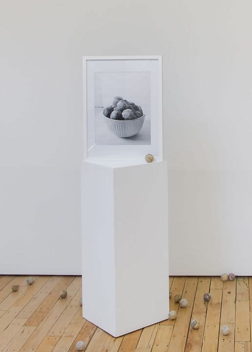 Yoni Zonszein, Double Ananke, 2011-2015