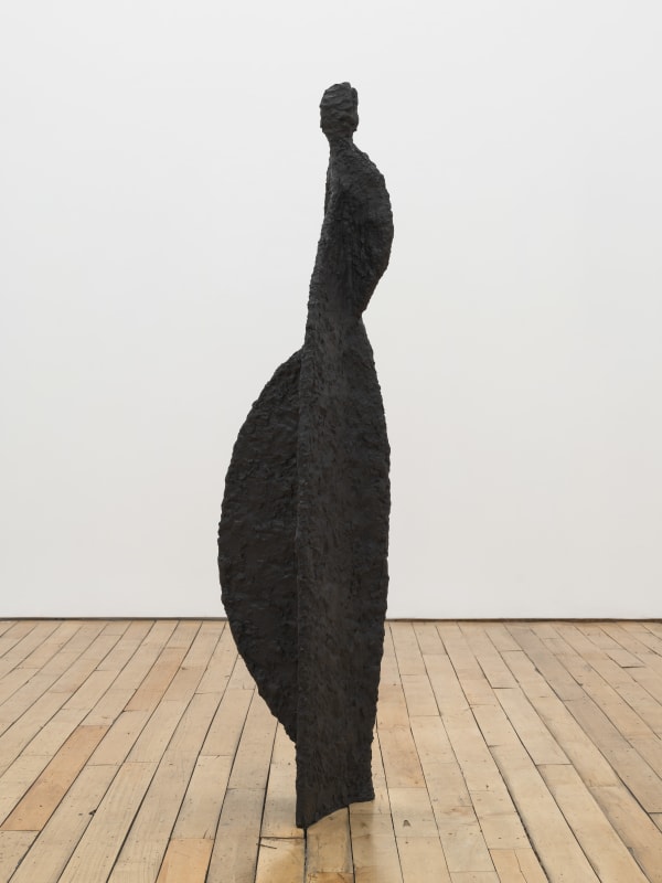 Sheree Hovsepian, Avatar #3, 2025