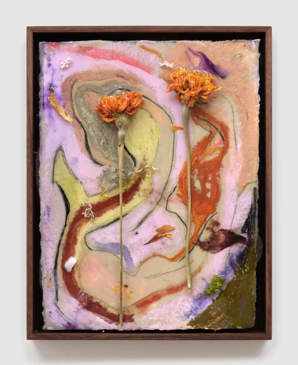 Heidi Norton, Tagetes, 2025