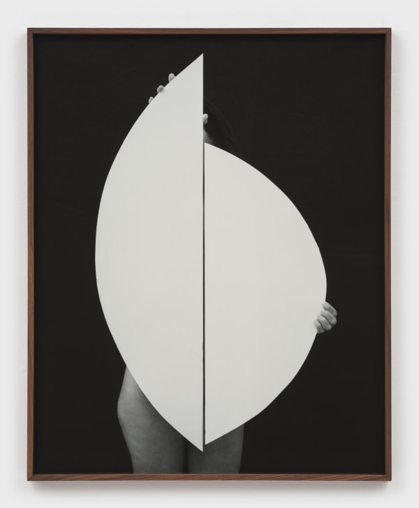 Sheree Hovsepian, Second Self #5, 2025