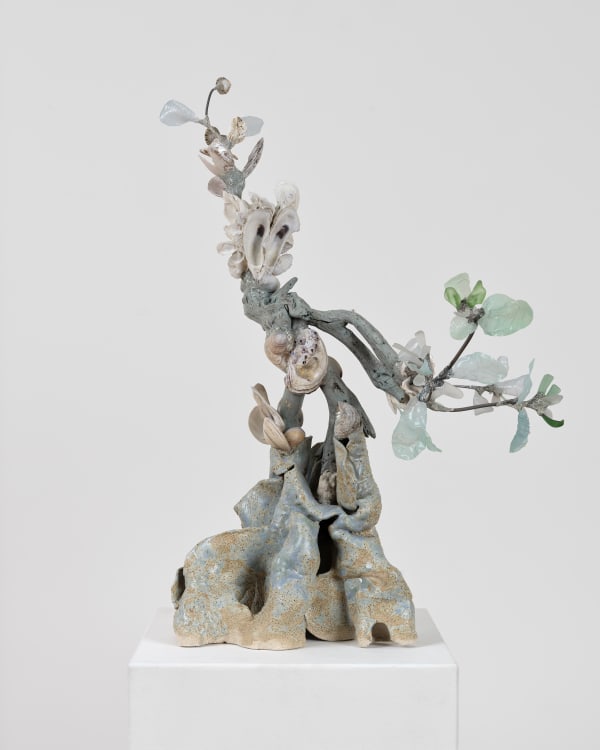 Shuyi Cao, Star Reacher, 2025