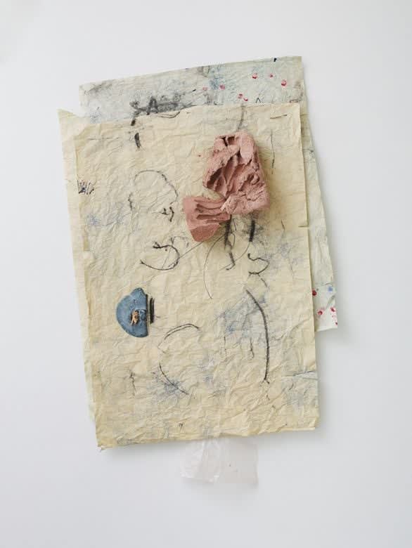 Win McCarthy, Metabolic Drawing, 2012