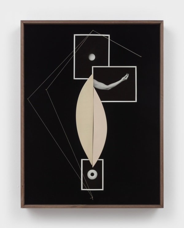Sheree Hovsepian, Pastiche, 2022