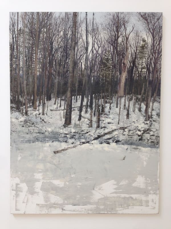 Van Hanos, Dismal Woods, 2010