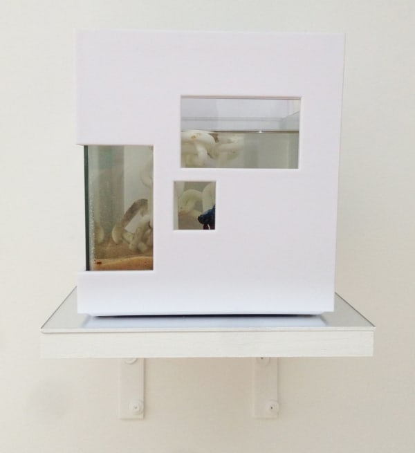 Ajay Kurian, Beta, 2014