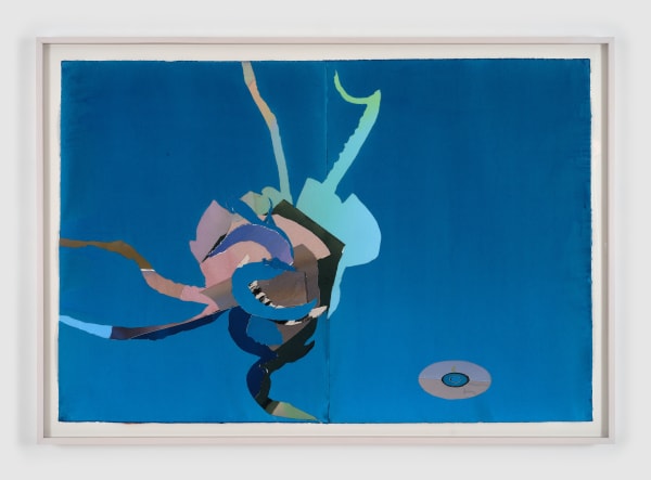 Roger White, cuttlefish cd, 2025