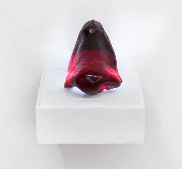 Curtis Talwst Santiago, Warahoon, 2020