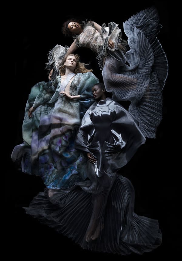 Carla van de Puttelaar - Synergia Series - VIII / L