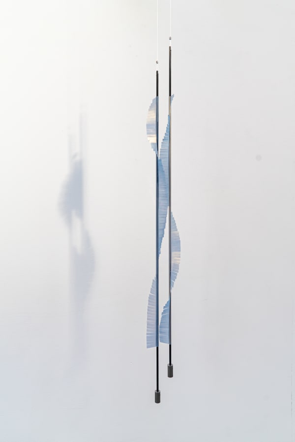 Johannes Langkamp, Twirling Couple