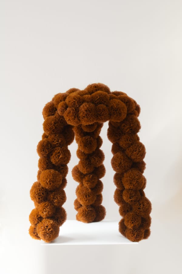 Sofie Aaldering, Alive