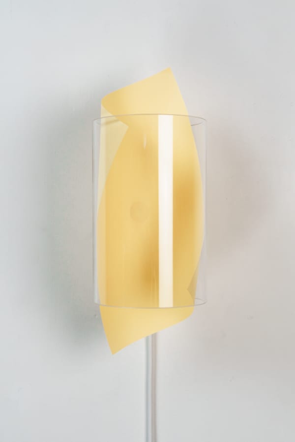 Johannes Langkamp, Worthwhile Sunflower yellow