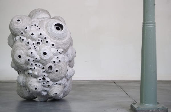 Frits Achten, Hornets’ nest